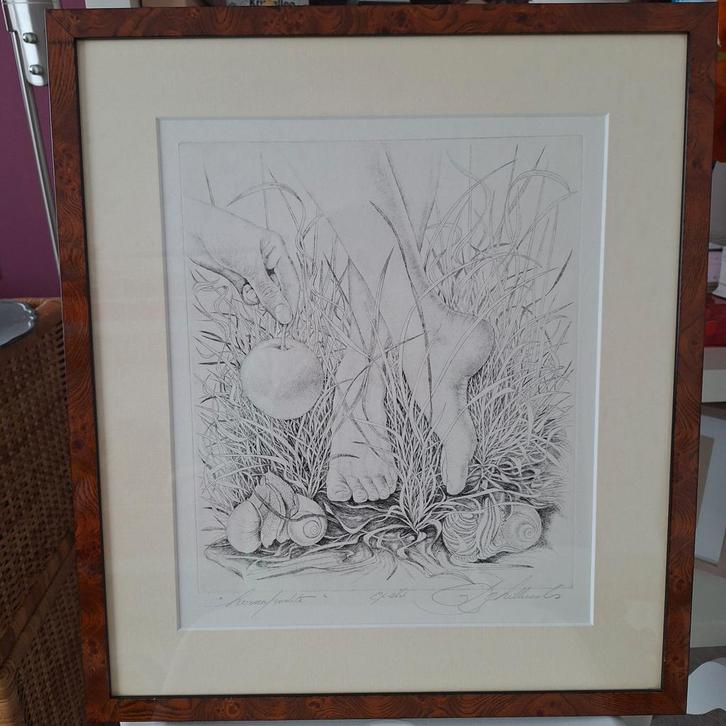 Ets van Cools Achille, Antiek en Kunst, Kunst | Etsen en Gravures, Ophalen