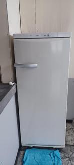 Diepvries, Elektronische apparatuur, Vriezers en Diepvrieskisten, Zo goed als nieuw, 140 tot 160 cm, Ophalen, Vrieskast