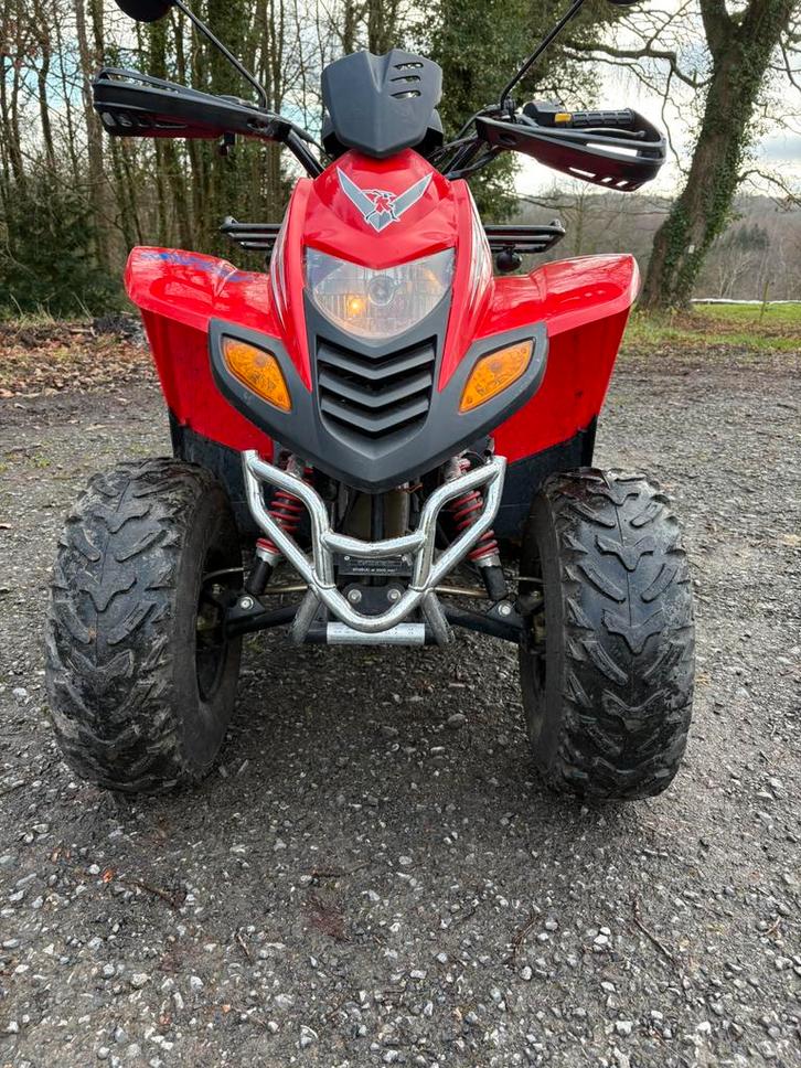 Quad masai dinli, Motos, Quads & Trikes, jusqu'à 11 kW, 1 cylindre, Enlèvement