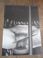 Pastel érotique, Enlèvement