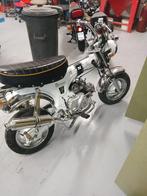 Honda dax 50, Ophalen, 49 cc