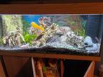 Aquarium, Dieren en Toebehoren, Ophalen, Gebruikt, Gevuld zoetwateraquarium