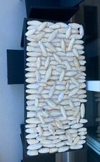 Sepia / zeeschuim (2 kg) voor vogels, aanvulling voor kalk, Dieren en Toebehoren, Ophalen of Verzenden, Nieuw, Zand en Verzorging