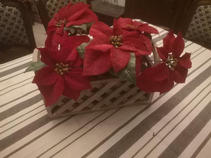 Kerstroos – kunstplant in houten bakje, Diversen, Kerst, Ophalen of Verzenden