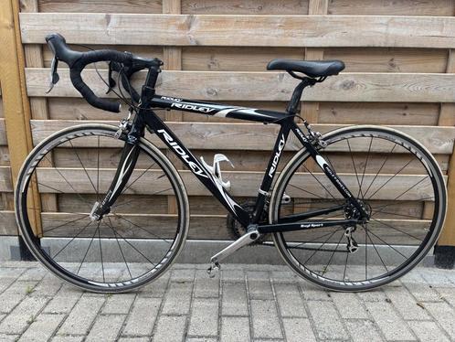 koers race fiets Rideley. Kadermaat 48 voor personen van 1.5, Fietsen en Brommers, Fietsen | Racefietsen, Zo goed als nieuw, 15 tot 20 versnellingen