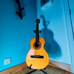 Stagg Gitaar + accessoires, Muziek en Instrumenten, Ophalen, Zo goed als nieuw