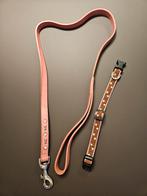 Laisse et collier en cuir pour petits chiens, Animaux & Accessoires, Enlèvement, Comme neuf, Laisse pour chien