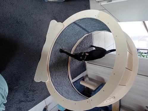 Loopwiel voor kittens, Dieren en Toebehoren, Krabmeubelen, Krabmeubel-onderdelen, Ophalen