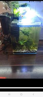 Aquarium cube 10l met verwarming en hangfilter en stenen, Dieren en Toebehoren, Ophalen, Zo goed als nieuw