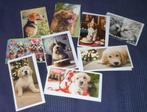 Lot de 9 cartes de circonstance : les chiens, Verzamelen, Postkaarten | Dieren, Ophalen of Verzenden, Hond of Kat