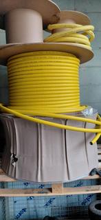 Plt Paktermo, Enlèvement