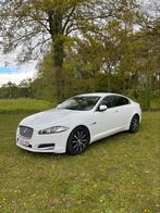 Jaguar XF, Autos, Berline, 5 portes, Diesel, Automatique