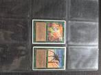 Magic the gathering, Hobby en Vrije tijd, Verzamelkaartspellen | Magic the Gathering, Ophalen of Verzenden, Gebruikt, Meerdere kaarten