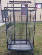 Papegaaien kooi, Dieren en Toebehoren, Ophalen