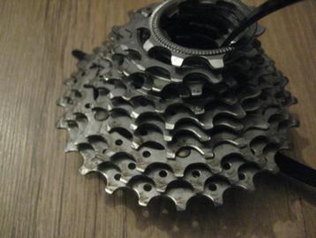 pion koersfiets Campa 11v beschikbaar voor biedingen
