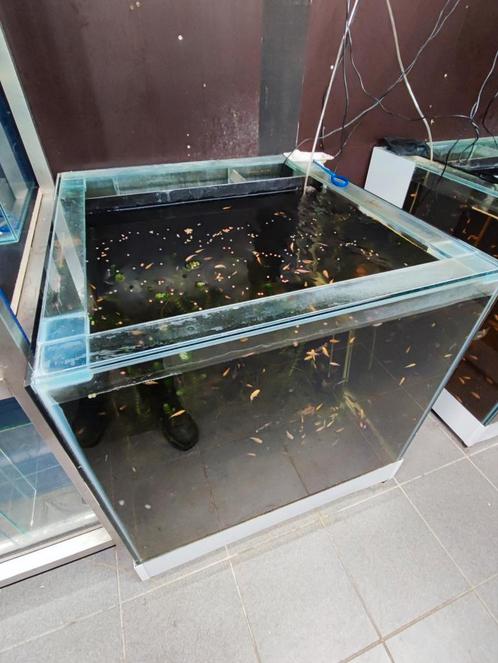1 vierkante aquariums te koop, Dieren en Toebehoren, Vissen | Aquaria en Toebehoren, Zo goed als nieuw, Ophalen of Verzenden
