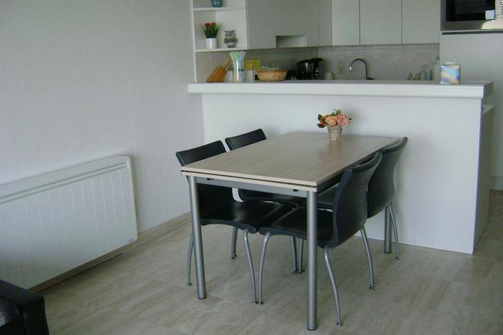 net en verzorgd appartement zeedijk te Westende., Immo, Appartements & Studios à louer, Province de Flandre-Occidentale, 50 m² ou plus