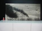 XXL vintage zwart/wit foto op houten plaat (155 x 75 cm), Antiek en Kunst, Curiosa en Brocante, Ophalen