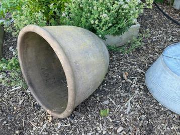 buitenbloempot beschikbaar voor biedingen
