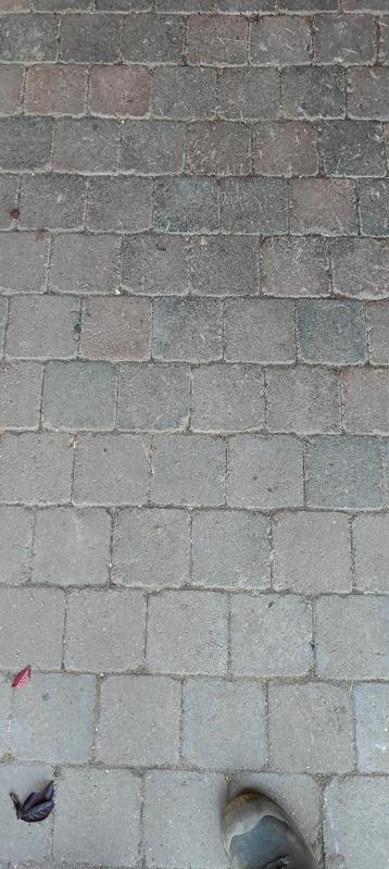 Bestrating gratis 30m2, Tuin en Terras, Tegels en Klinkers, Ophalen, Gebruikt, Klinkers, 10 m² of meer
