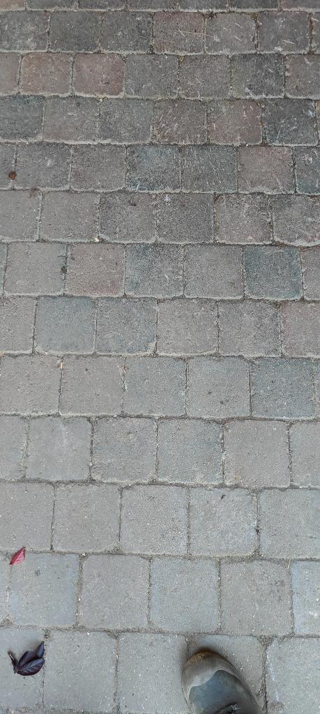 Bestrating gratis 30m2, Tuin en Terras, Tegels en Klinkers, Gebruikt, Klinkers, Beton, 10 m² of meer, Ophalen