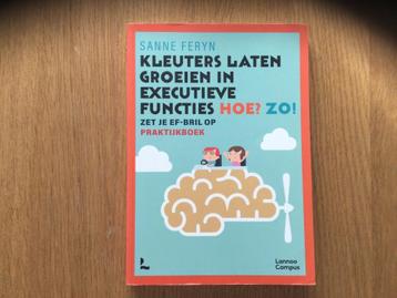 Kleuters laten groeien in executieve functies- Sanne Feryn-  beschikbaar voor biedingen