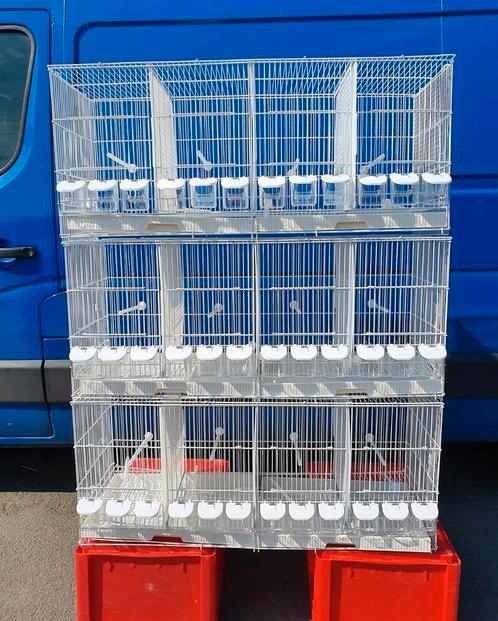 Witte Draad Kooien Kweekkooien Stapelbaar 102cm, Dieren en Toebehoren, Vogels | Hokken en Kooien, Nieuw, Kunststof, Ophalen of Verzenden