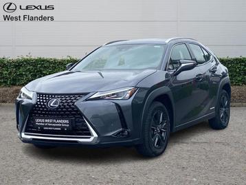 Lexus UX 250h Business Line+cam+nav+Sens V&A  beschikbaar voor biedingen