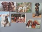 14 oude postkaarten 1910 - 1940 Honden, Verzamelen, Postkaarten | Themakaarten, Overige thema's, Ongelopen, Ophalen of Verzenden