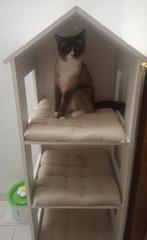 Maison pour chats, Ophalen, Gebruikt