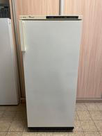 Diepvries 4 vakken + snelvriesvak, Elektronische apparatuur, Vriezers en Diepvrieskisten, Ophalen, Zo goed als nieuw