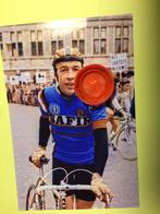 wielerkaart 1980  team safir herman van springel, Verzenden, Zo goed als nieuw