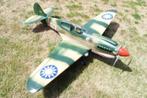 RC vliegtuig *NIEUW* P-40E Warhawk Gold Edition *146 KM/U*, Hobby & Loisirs créatifs, Neuf, Enlèvement, Avion, Plus grand que 1:72