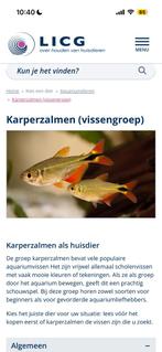 Verkopen inhoud aquarium, Dieren en Toebehoren, Kreeft, Krab of Garnaal, Zoetwatervis, Schoolvis