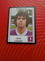 Lozano Beerschot Pro League, Enlèvement ou Envoi