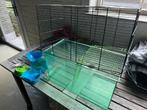 kooi hamster ophaling regio waregem, Dieren en Toebehoren, Kooi, Gebruikt, Minder dan 75 cm, Hamster