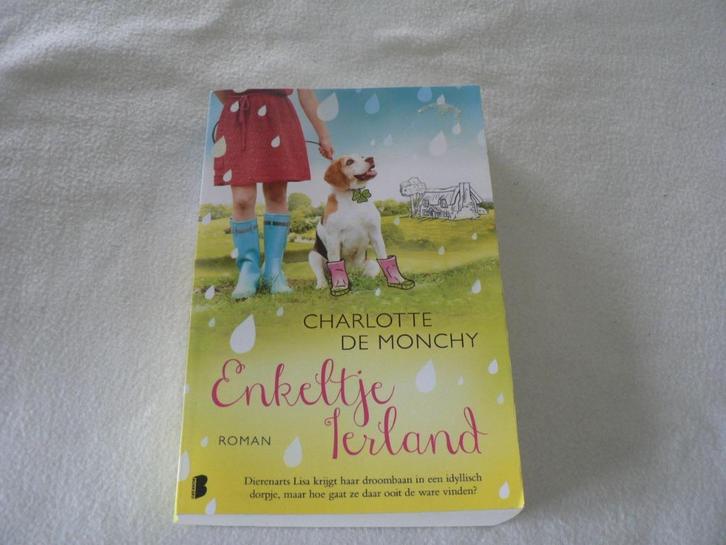 enkeltje Ierland Charlotte de monchy 2016, Boeken, Romans, Zo goed als nieuw, Ophalen of Verzenden