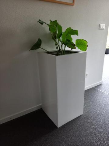 plantenbak polyester hoogglans wit 40x40x80 beschikbaar voor biedingen