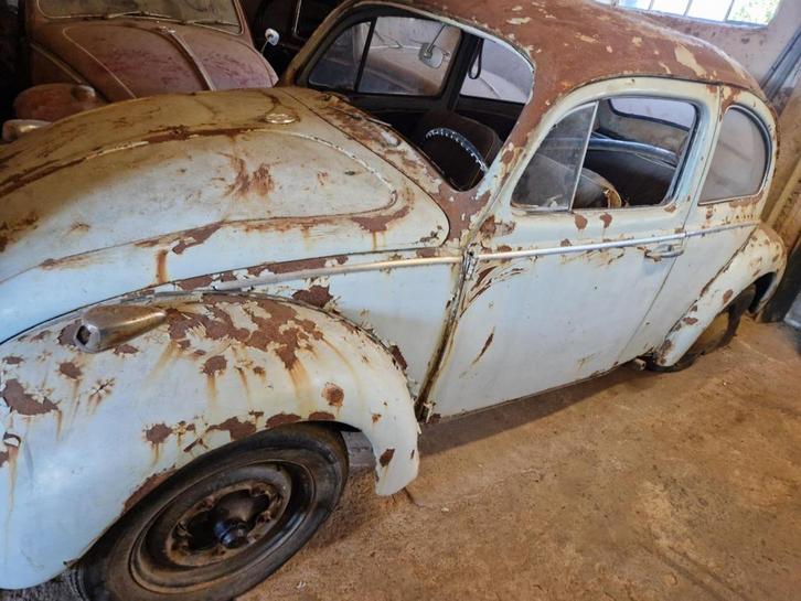 COX, Autos, Volkswagen, Particulier, Coccinelle, Essence, Berline, 2 portes, Boîte manuelle, Bleu, Bleu, Tissu, Propulsion arrière