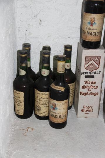 Verzameling oude sterke dranken - per fles beschikbaar voor biedingen