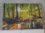 Canvas, Ophalen of Verzenden