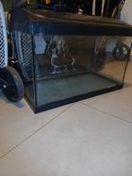 60l aquarium achtergrond en verlichting, Dieren en Toebehoren, Vissen | Aquaria en Toebehoren, Ophalen, Gebruikt