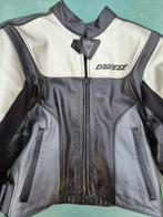 Dainese leren jas, Ophalen, Jas | leer, Nieuw zonder kaartje, Dames