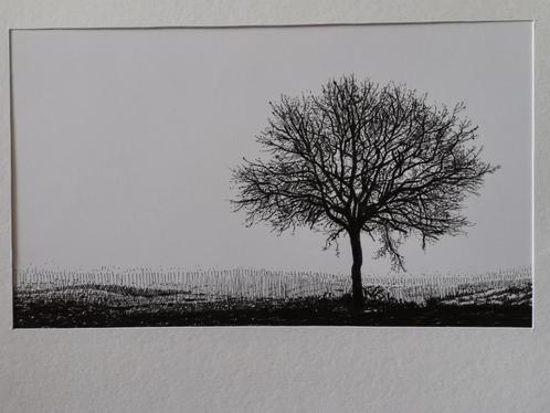 Solitaire boom - tekening, Antiek en Kunst, Kunst | Tekeningen en Fotografie, Ophalen