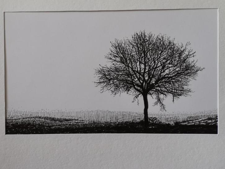 Solitaire boom - tekening, Antiek en Kunst, Kunst | Tekeningen en Fotografie, Ophalen