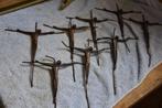 kruisjes draad messing, Ophalen of Verzenden, Gebruikt, Overige typen, Christendom | Katholiek