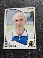 Panini Football 90 - # 222 - Aimé Anthueunis - Lokeren, Ophalen of Verzenden, Zo goed als nieuw, Plaatje