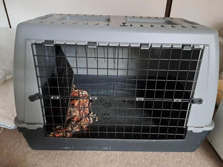 Autobench, Dieren en Toebehoren, Transportboxen, Gebruikt, Ophalen