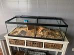 Dubbele kooi met hamsters, Comme neuf, 75 à 110 cm, Cage, Enlèvement ou Envoi