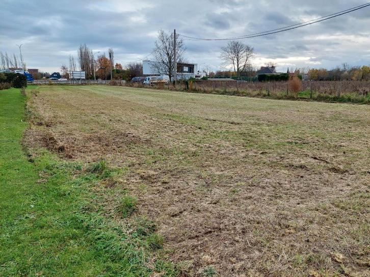 Weide / grond / grasland te huur, Dieren en Toebehoren, Stalling en Weidegang